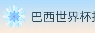 巴西世界杯投注入口 logo